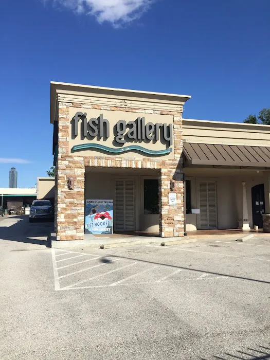 Fish Gallery | Aquarium Superstore Picture 3