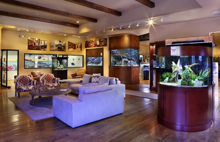 Fish Gallery | Aquarium Superstore Picture 4