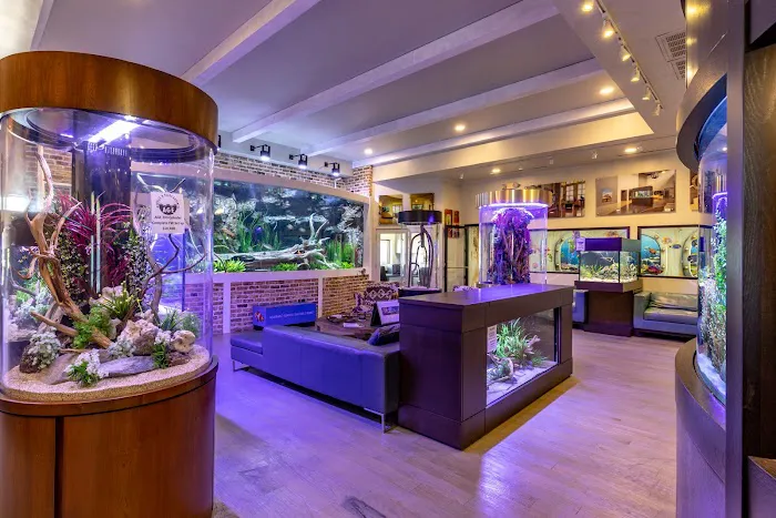 Fish Gallery | Aquarium Superstore Picture 5