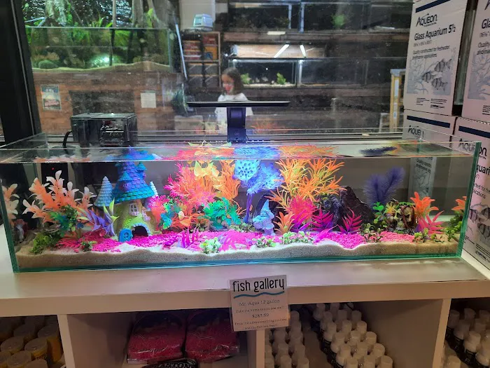 Fish Gallery | Aquarium Superstore Picture 2