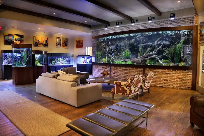 Fish Gallery | Aquarium Superstore Picture 8