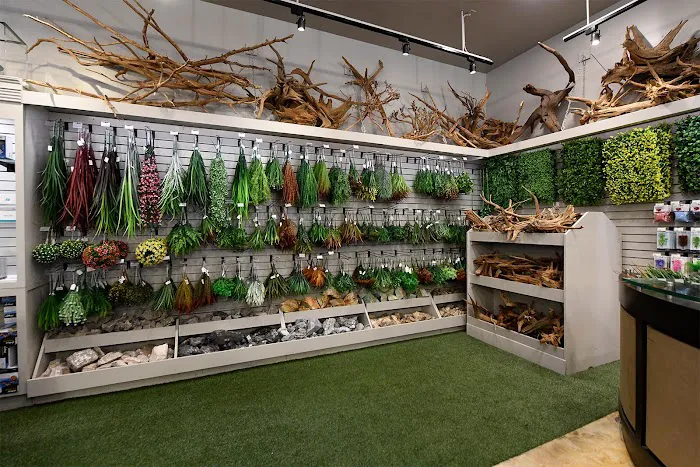 Fish Gallery | Aquarium Superstore Picture 10