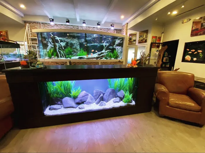 Fish Gallery | Aquarium Superstore Picture 9