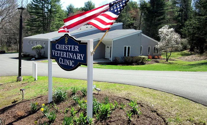 Chester Veterinary Clinic Picture 4