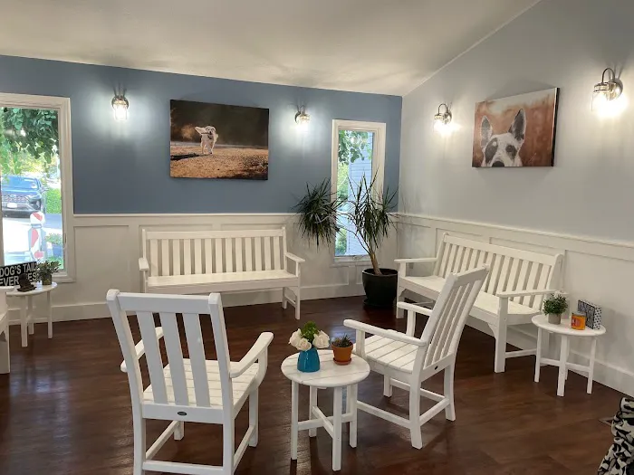 Chester Veterinary Clinic Picture 1