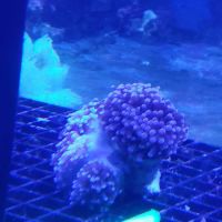Aquarium Environments | Aquarium Superstore ico