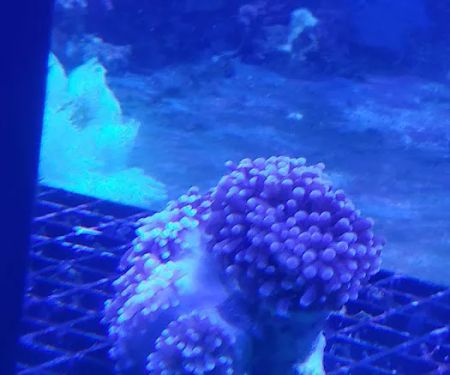 Aquarium Environments | Aquarium Superstore
