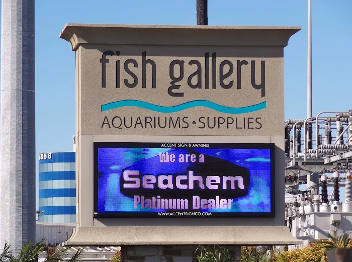 Aquarium Environments | Aquarium Superstore Picture 2