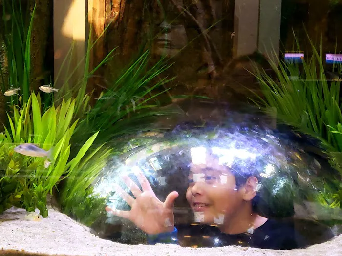 Aquarium Environments | Aquarium Superstore Picture 7