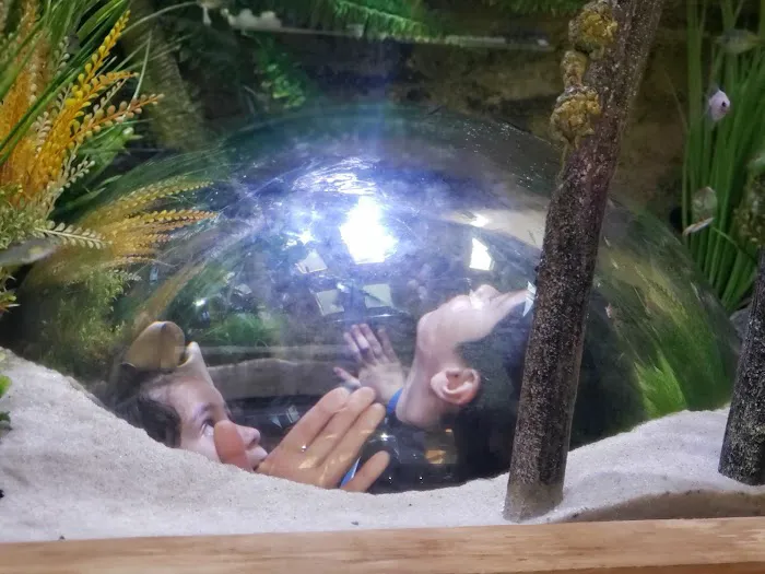 Aquarium Environments | Aquarium Superstore Picture 8