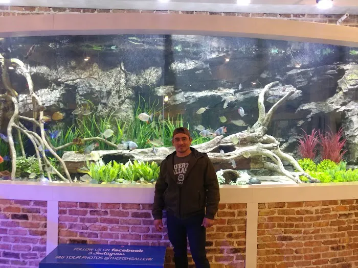 Aquarium Environments | Aquarium Superstore Picture 9