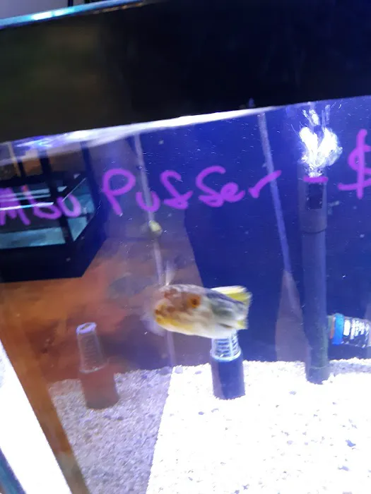 Aquarium Environments | Aquarium Superstore Picture 5