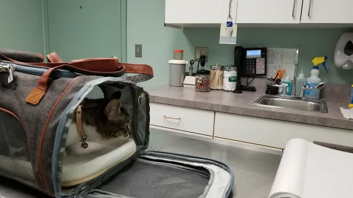 Suffield Veterinary Hospital Picture 4
