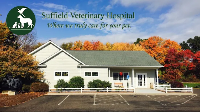 Suffield Veterinary Hospital Picture 10