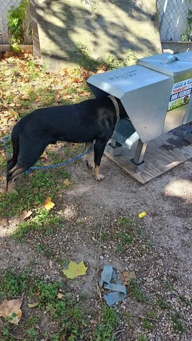Sarge&Blue K9 Feeders Picture 3