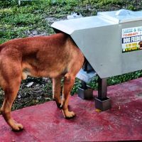 Sarge&Blue K9 Feeders ico