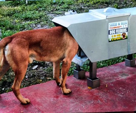 Sarge&Blue K9 Feeders