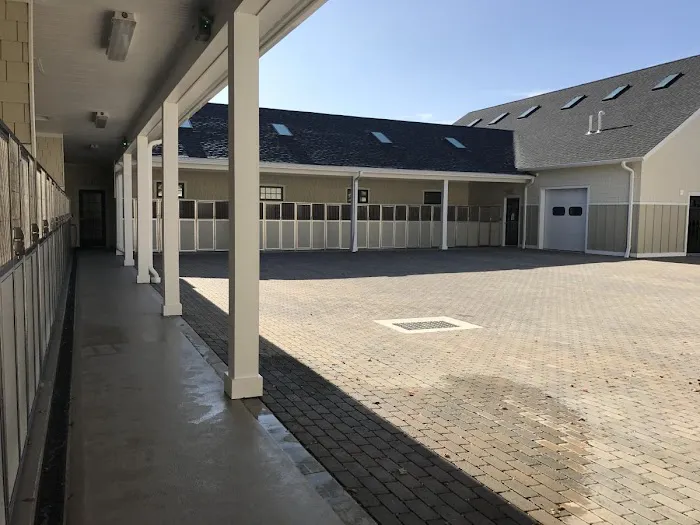 River Valley Animal Center Picture 2
