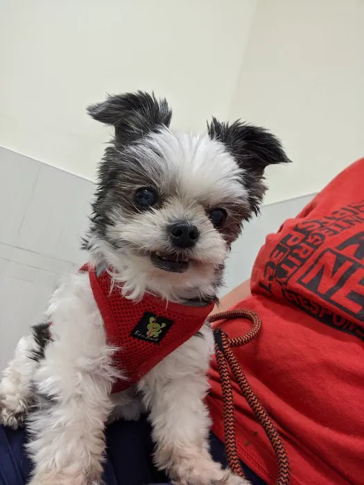 River Valley Animal Center Picture 9