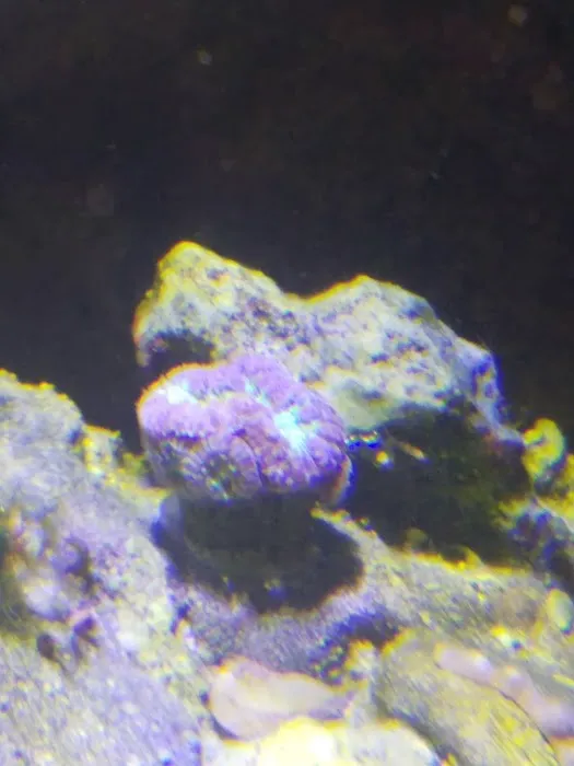 FJW Aquarium Picture 9