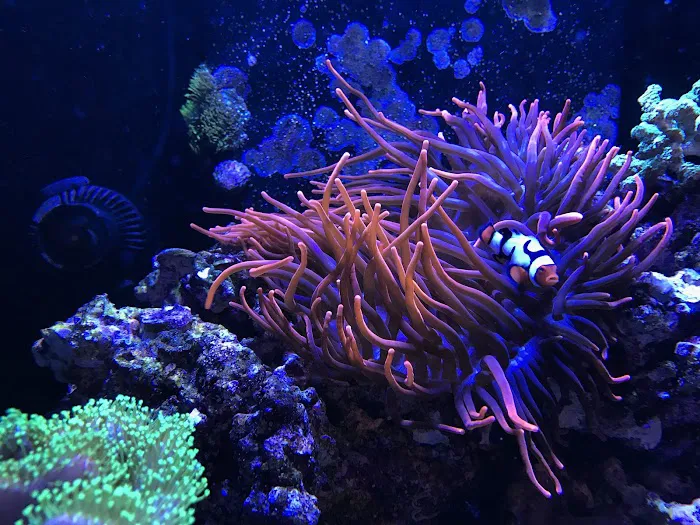 FJW Aquarium Picture 10