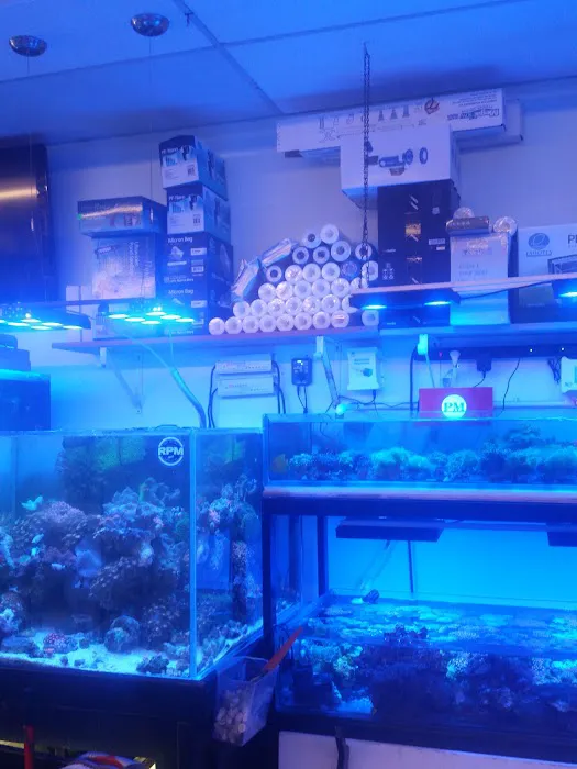 FJW Aquarium Picture 4