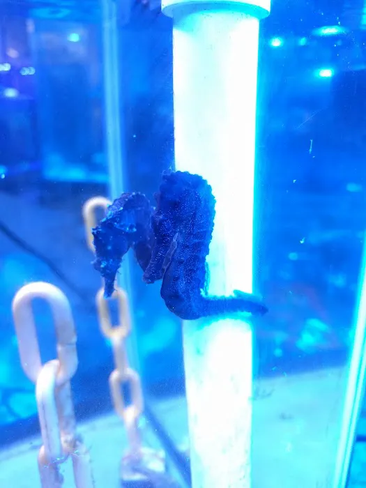 FJW Aquarium Picture 5