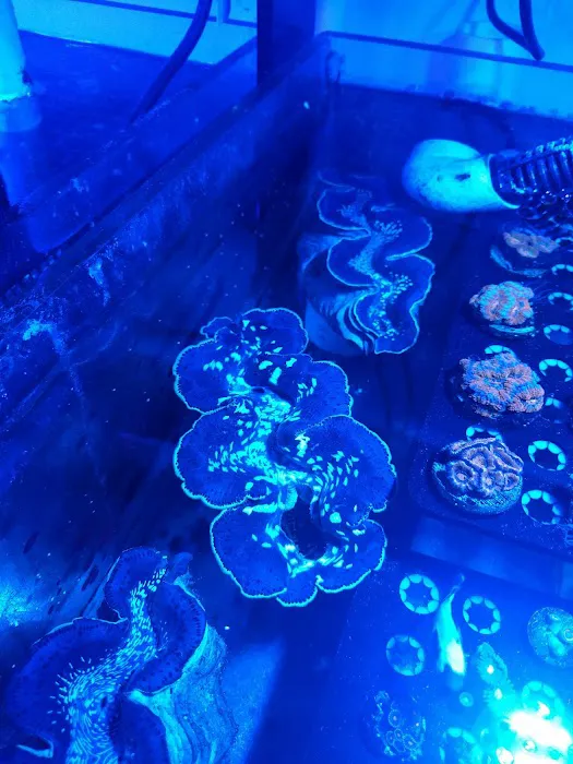 FJW Aquarium Picture 1