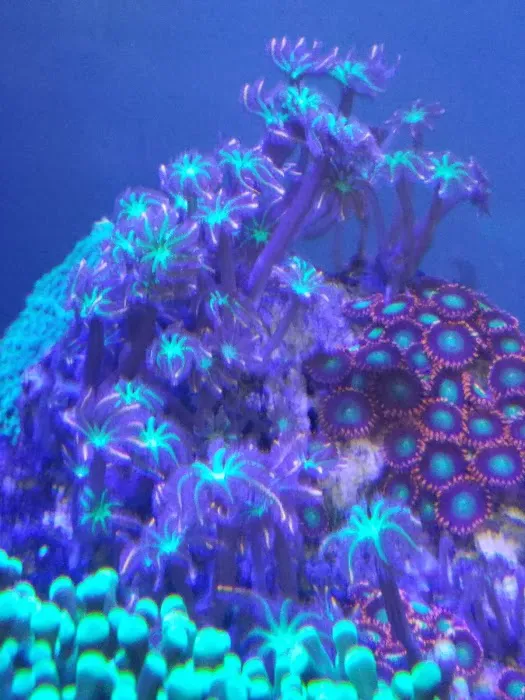 FJW Aquarium Picture 8