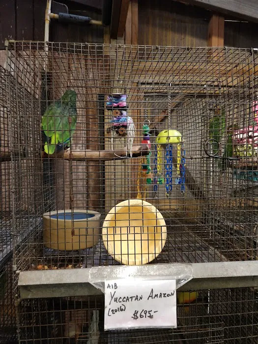 Adventures In Birds Picture 1