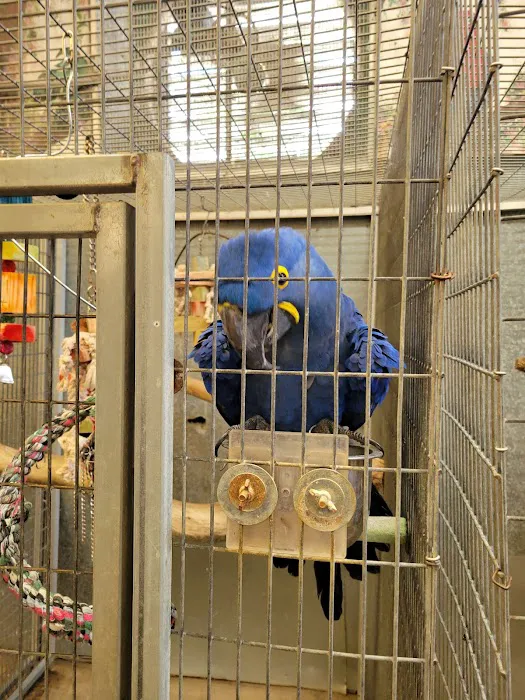 Adventures In Birds Picture 8