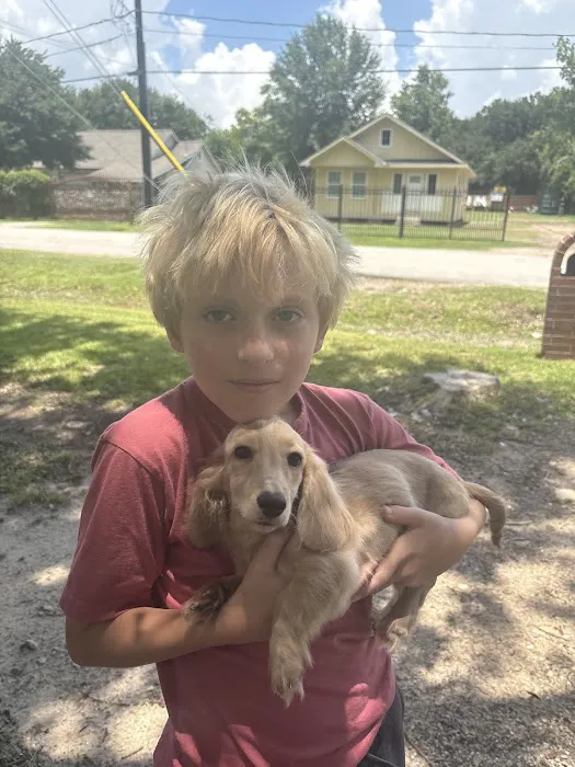 The Puppy Ranch Picture 2