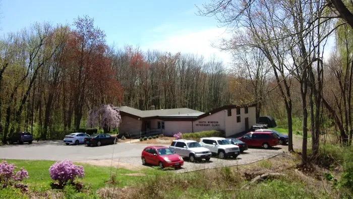 South Windsor Veterinary Clinic Picture 1