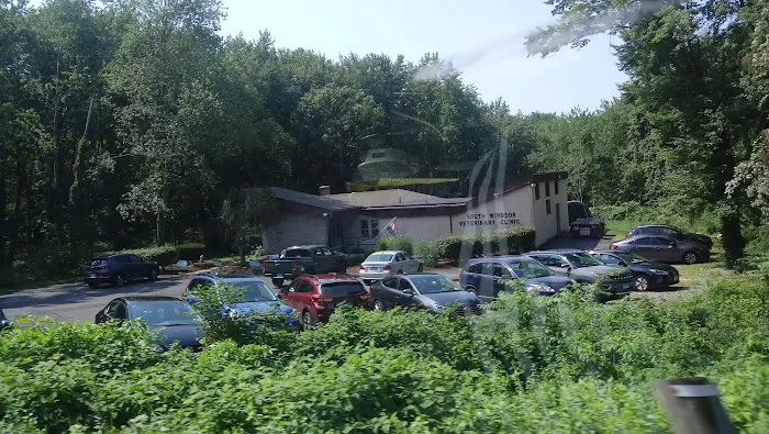 South Windsor Veterinary Clinic Picture 4