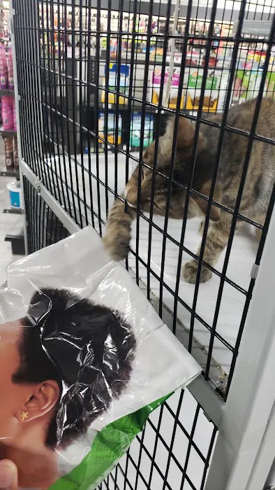 Pet Supermarket Picture 2