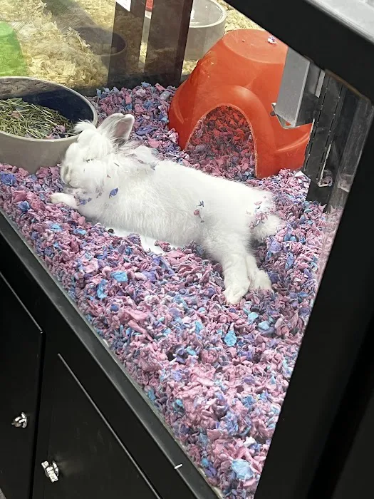 Pet Supermarket Picture 8