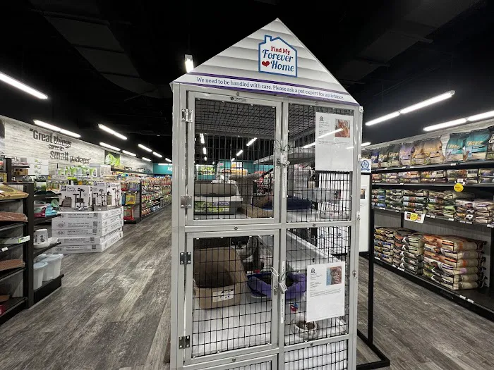 Pet Supermarket Picture 7