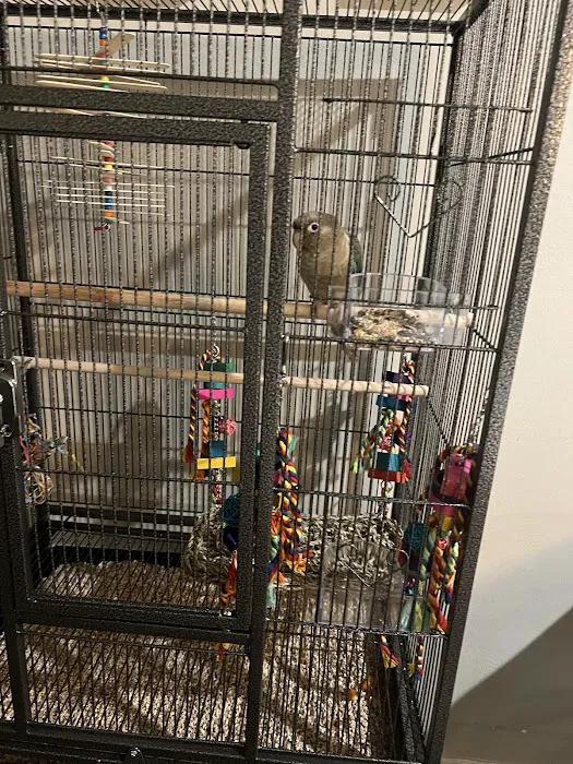 Pet Supermarket Picture 4