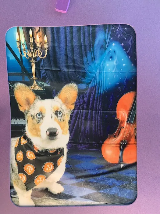 Pet Supermarket Picture 3