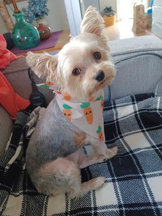 Banfield Pet Hospital Picture 8