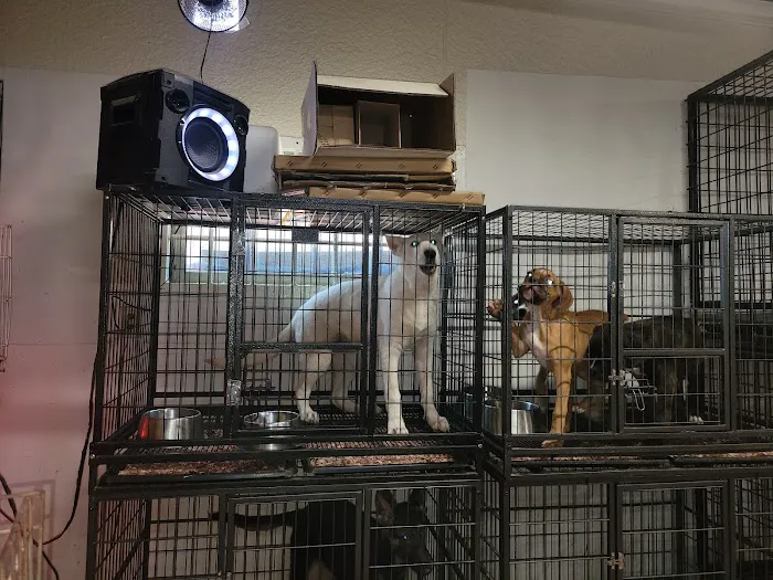 Giovanni's Pet Shop Picture 10
