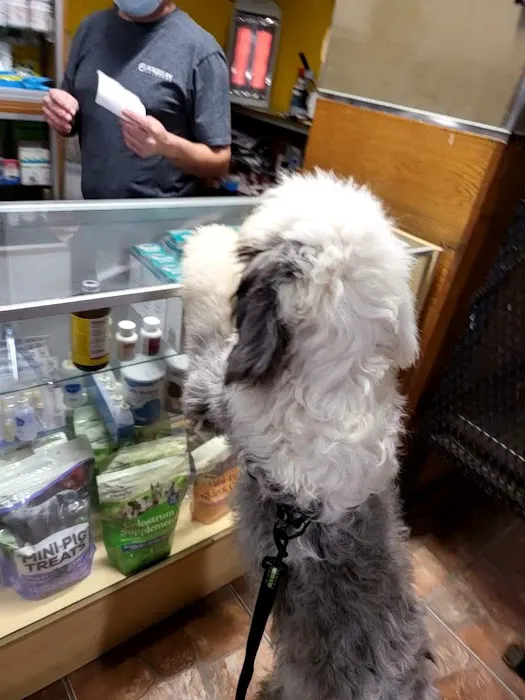Giovanni's Pet Shop Picture 1