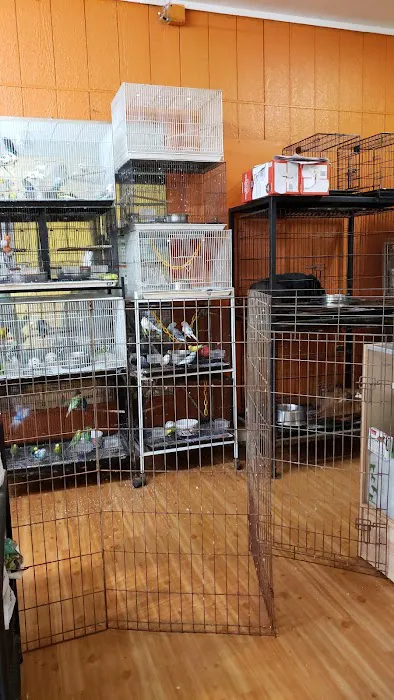 Giovanni's Pet Shop Picture 9
