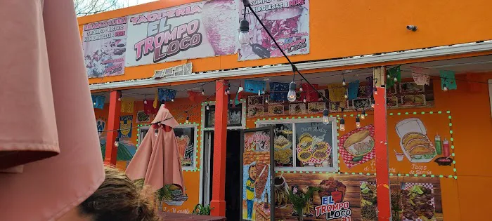 Giovanni's Pet Shop Picture 2