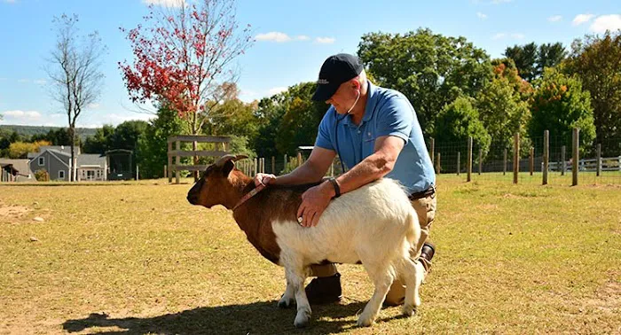 Salmon Brook Veterinary Hospital Picture 3