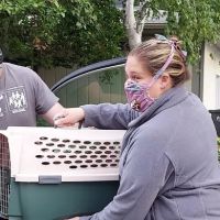 Salmon Brook Veterinary Hospital ico
