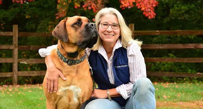 Salmon Brook Veterinary Hospital Picture 4