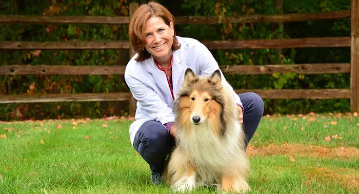 Salmon Brook Veterinary Hospital Picture 7