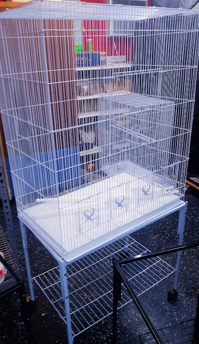 L L ,S PET SHOP Picture 3
