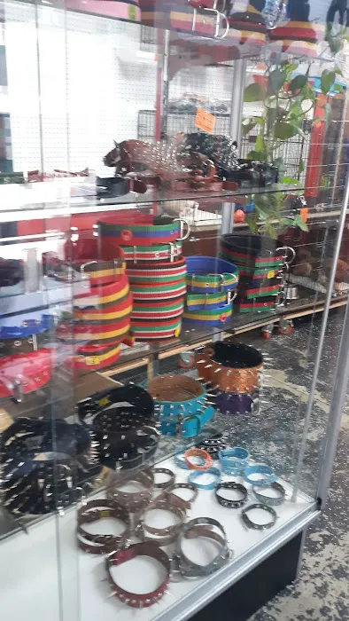 L L ,S PET SHOP Picture 8